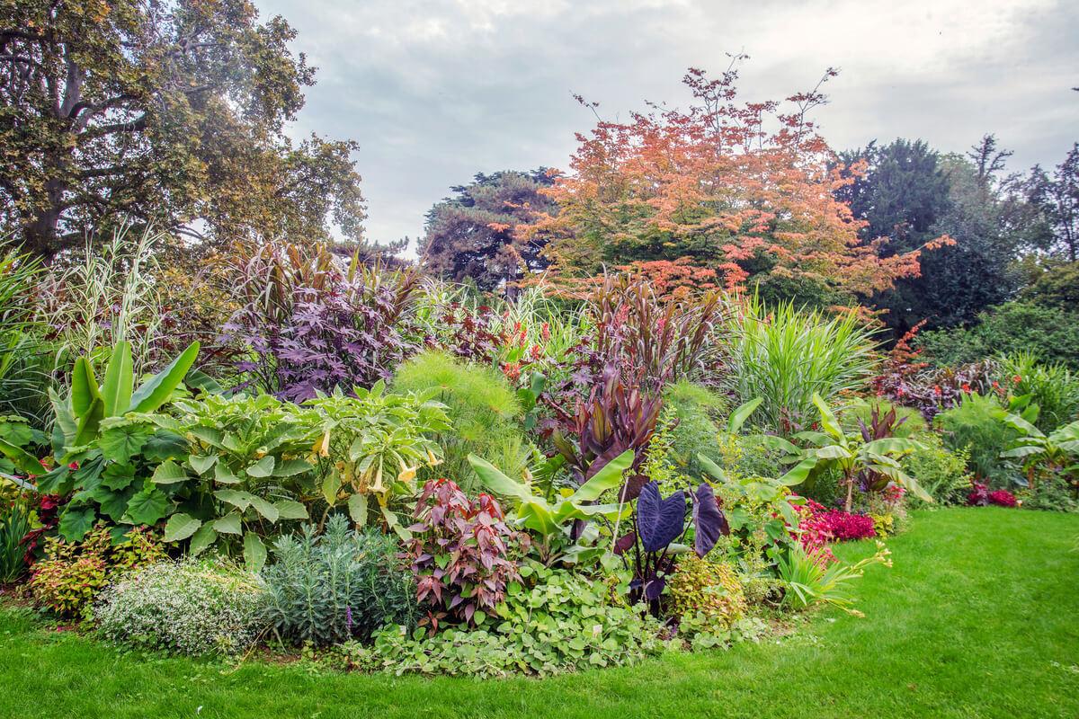 Plantas de París