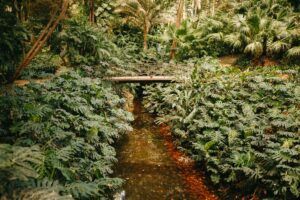 Jardines árabes en España: Principales exponentes Jardines árabes en España