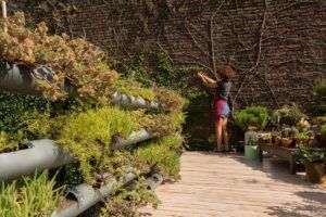papel-de-las-plantas-nativas-en-la-sostenibilidad-del-paisaje