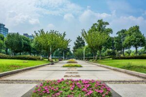 Paisajismo regenerativo: restaurar ecosistemas degradados a través del diseño paisajismo-regenerativo-portada