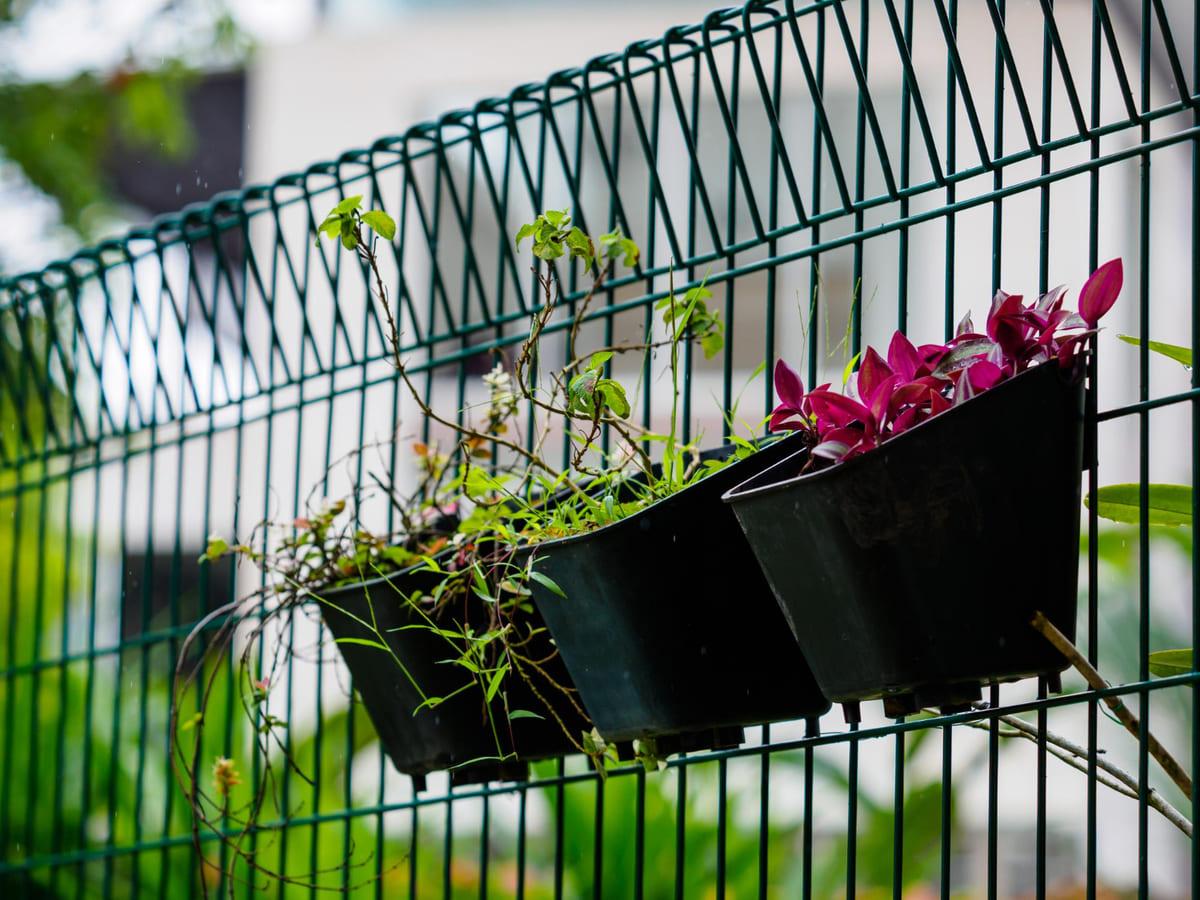 microjardines para balcones
