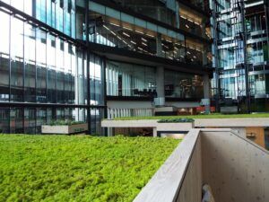 La importancia de los techos verdes en la reducción de la huella ecológica huella ecológica