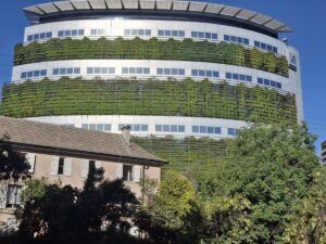 Jardín vertical interior vs. exterior: diferencias, cuidados y recomendaciones 20250128_182756