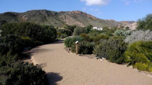 Jardín Botánico El Albardinal, joya natural de Almería Jardín Botánico El Albardinal
