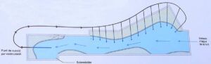 funcionamiento-lago