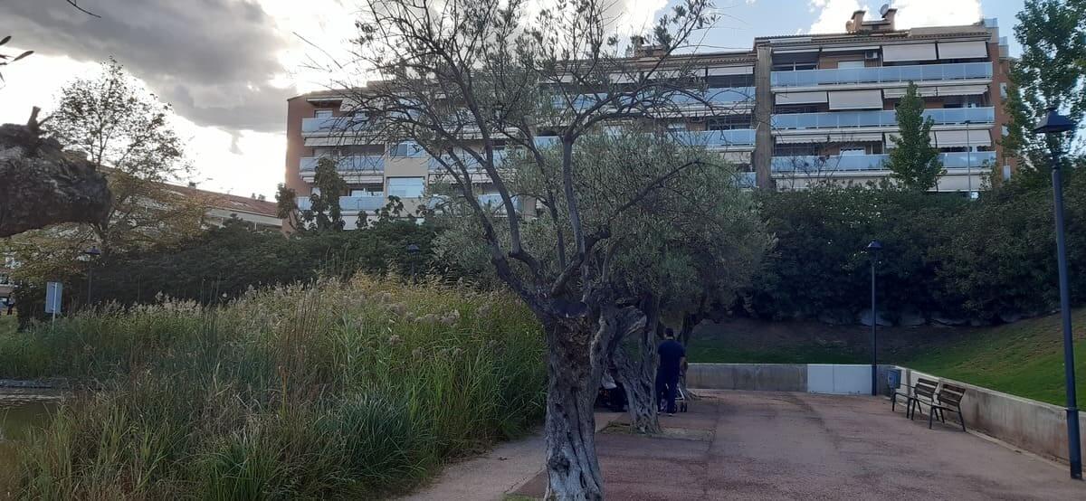 Parque Municipal de Olesa de Montserrat