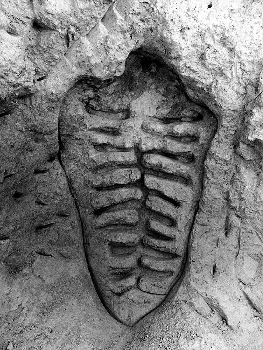 Ana Mendieta 
