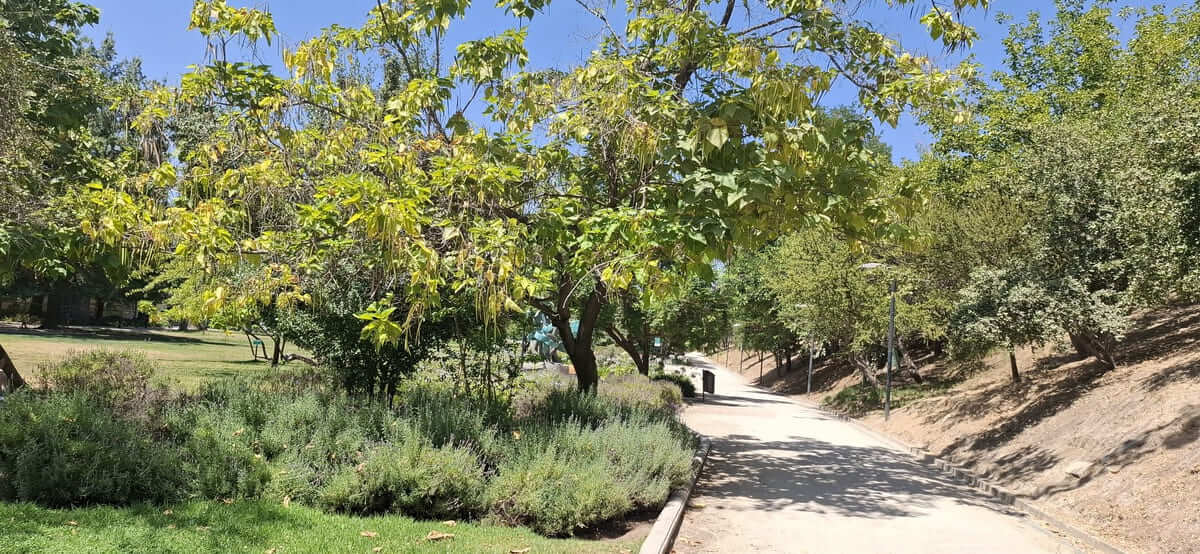 jardines sostenibles