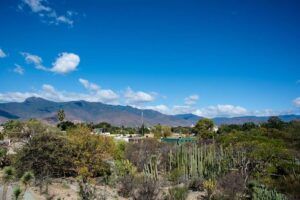 Zonificación en permacultura: optimiza tu jardín según el uso y energía zonificacion-permacultura-2