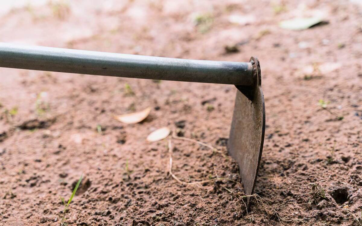 Herramientas infaltables para jardinería