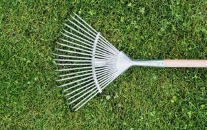 Herramientas infaltables para jardinería sostenible: claves para un trabajo eficiente y ecológico jardinería sostenible