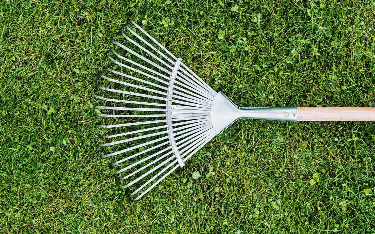 Herramientas infaltables para jardinería