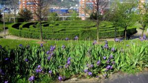 plantas-jardin-barakaldo