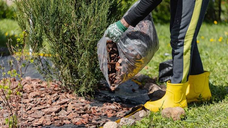 mulching o acolchado
