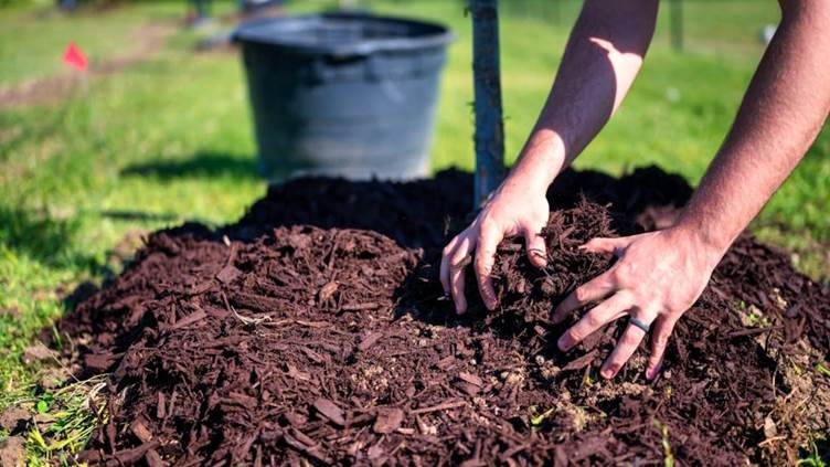 mulching o acolchado
