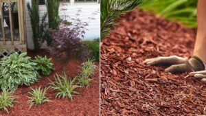 mulching o acolchado portada
