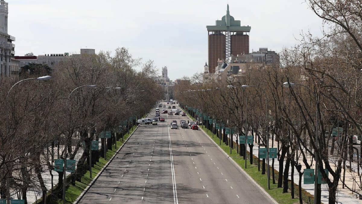 Arbolado en el Paseo de la Castellana