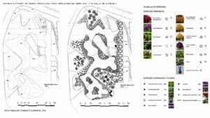 curso-superior-paisajismo-diseno-planos-plantacion