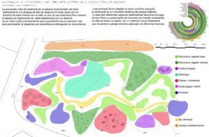 curso-superior-paisajismo-plano-usos-estructura-vegetal