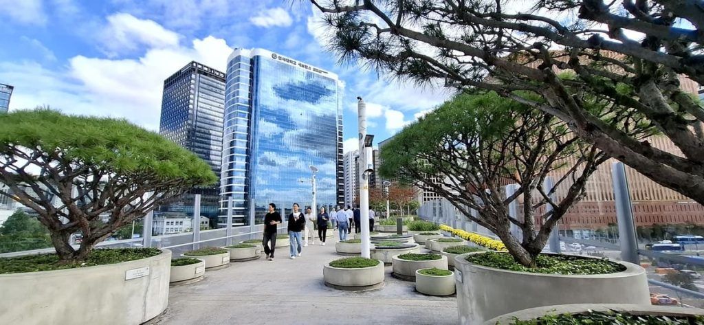 Detalle de las plantaciones del jardín elevado Seoullo 7017