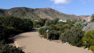 Jardín Botánico El Albardinal: lecciones de paisajismo, sostenibilidad y diseño resiliente Jardín Botánico El Albardinal