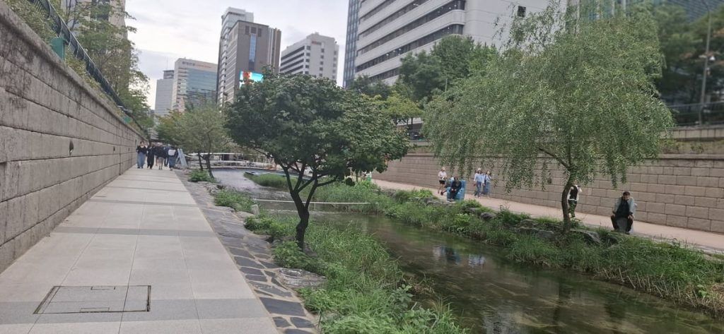Vegetación ribereña y recorridos peatonales del arroyo Cheonggyecheon