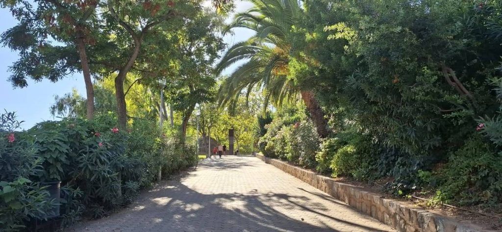 Recorrido peatonal sombreado entre la vegetación del Parc de la Creueta del Coll