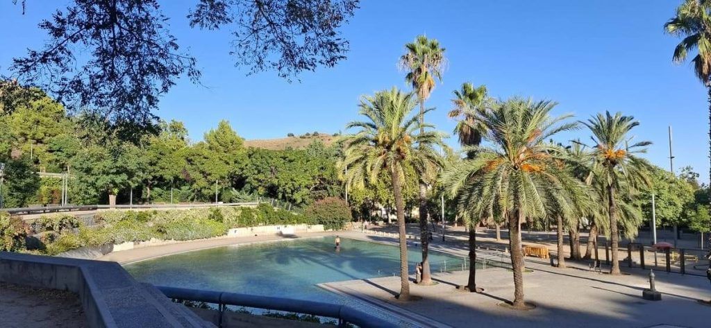 Palmeras y vegetación mediterránea junto a la lámina de agua del Parc de la Creueta del Coll