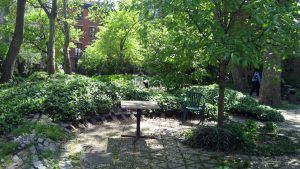 healing gardens 2