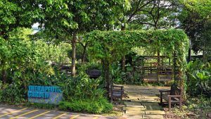 therapeutic garden en singapur