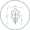 iconoabt2